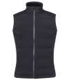 BK495 2439 Brook Taverner Ladies Auburn Hybrid Gilet Black colour image